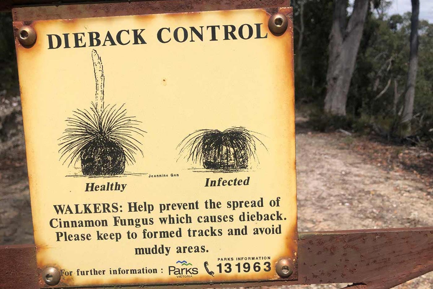 Dieback control sign showing healthy and infected grass trees and warning walkers to avoid muddy areas
