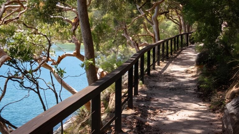 Harbour bridge to the spit bridge walking track (16. 5km)