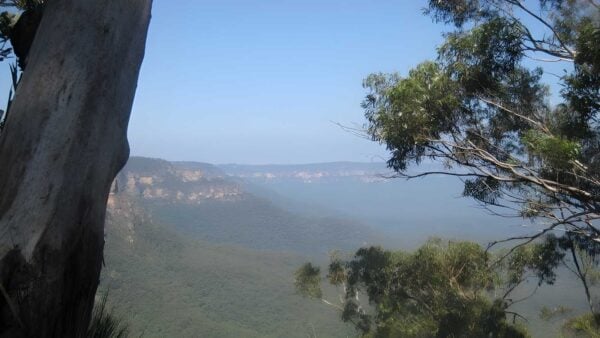 Scenic World Down Furber Steps to Narrow Neck Loop Hike (6.8km) Scenic world down furber steps to narrow neck loop hike (6. 8km)