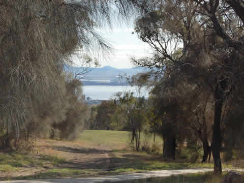 Amy st reserve