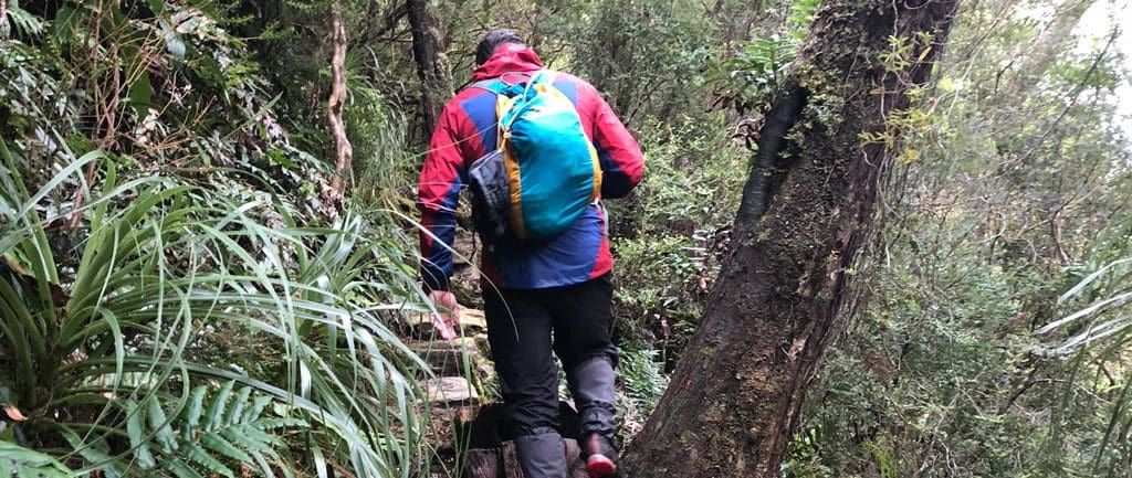 Montem diadema 18l hiking daypack