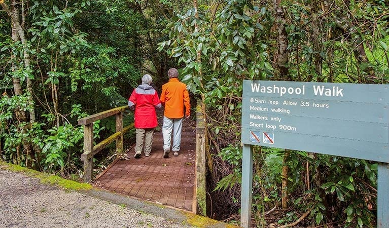 Washpool Walking Track (8.5km) Washpool walking track trail hiking australia