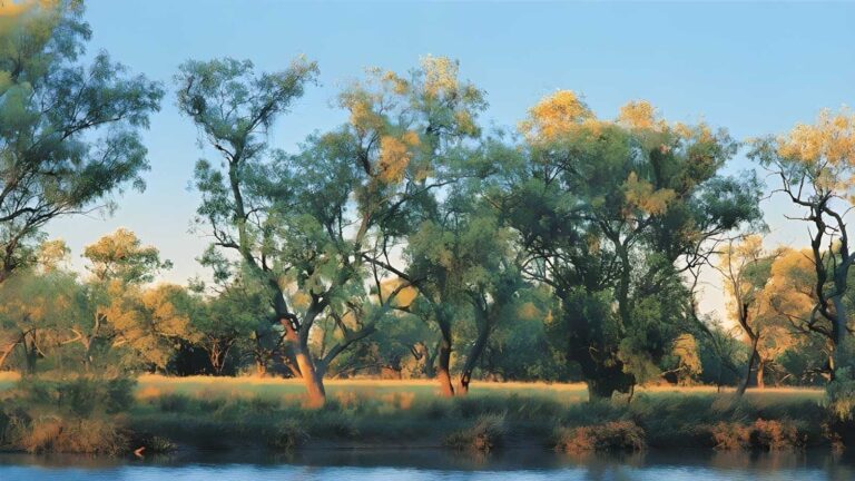 Combo Waterhole Trail Walk (2.6km) Combo waterhole trail walk (2. 6km)