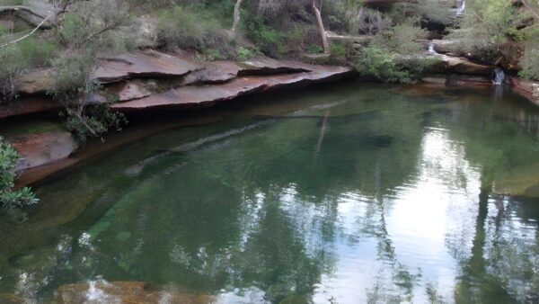 Emerald pool circuit from ironbark road hike (10. 8km)