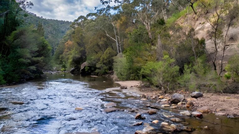 Pierces pass to blue gum forest walking track (16km)
