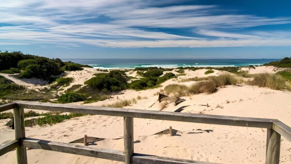 Submarine Beach Walking Track (1km) Submarine beach walking track (1km)