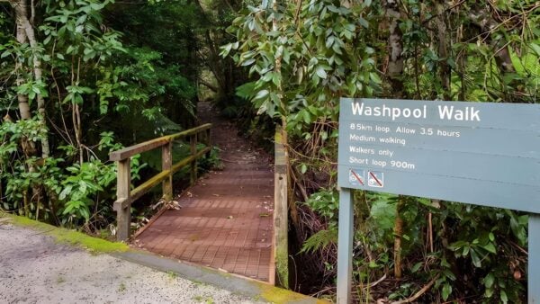 Washpool walking track (8. 5km)