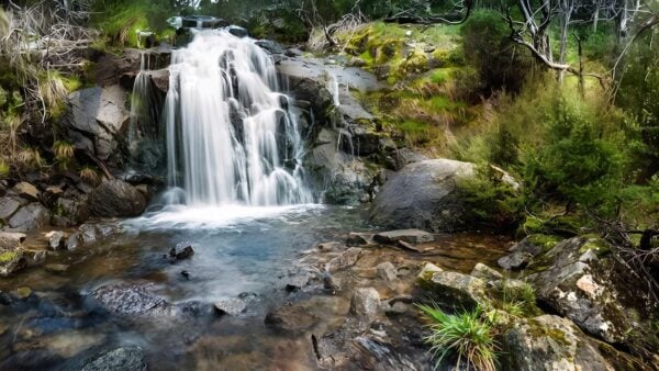 Waterfall walking track (6km)
