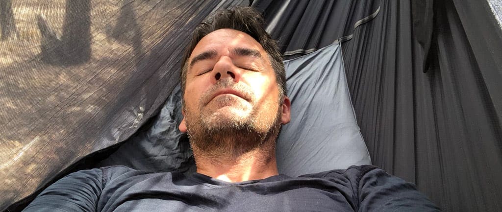 Hammock bliss sky bed bug free