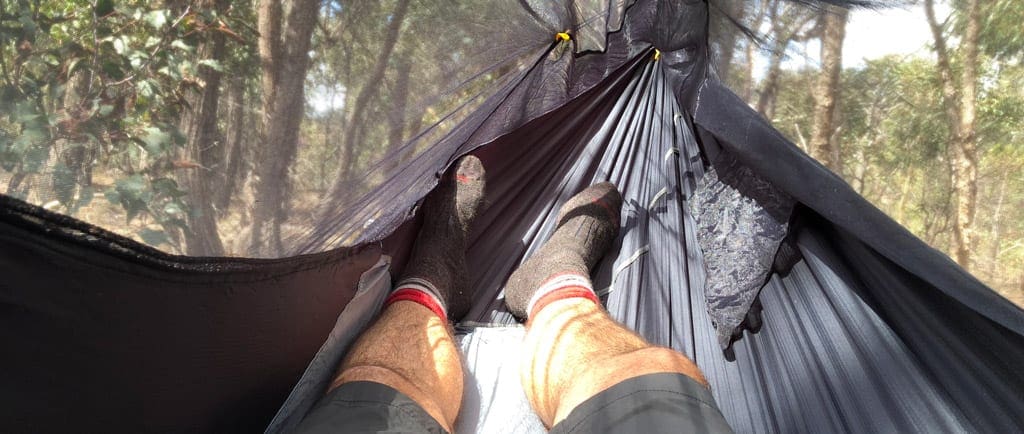 Hammock bliss sky bed bug free