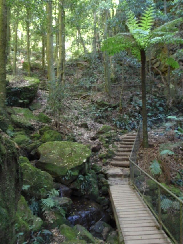Katoomba Kiosk to Katoomba Falls Walk (1.1km) Katoomba kiosk to katoomba falls