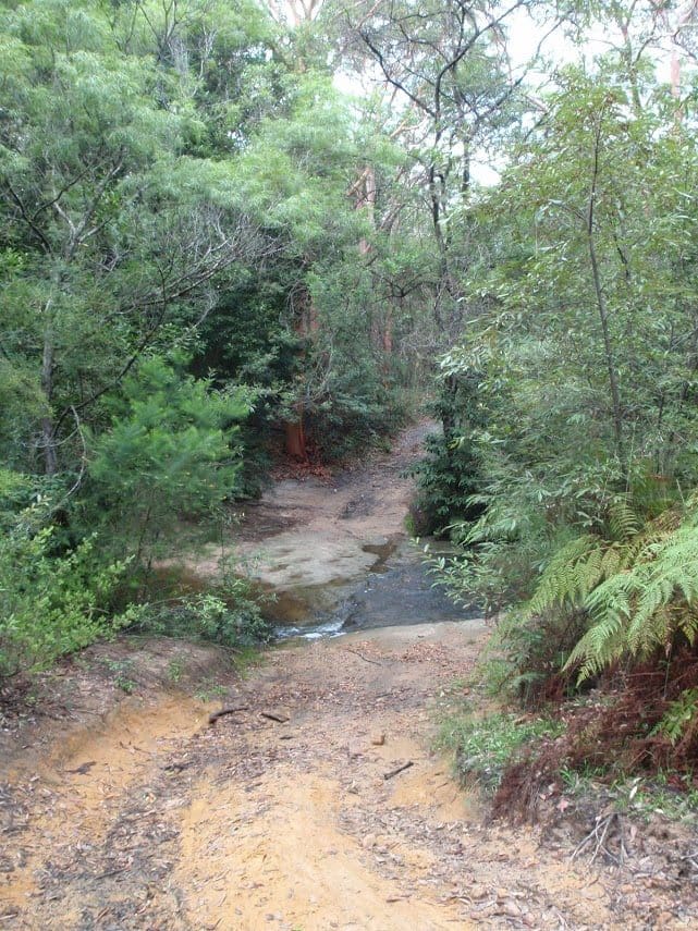 The Bare Creek Track (8.2km) The bare creek track