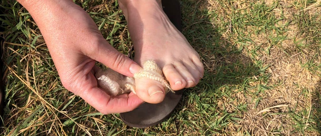 Trekkers wool trail hiking australia