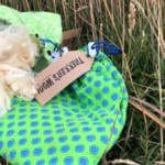 Trekkers wool trail hiking australia 7