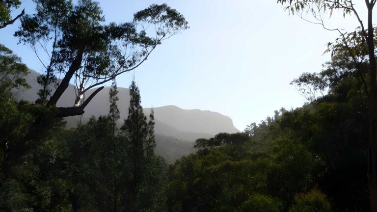 Blackheath to Blue Gum Loop Hike (24.1km) Blackheath to blue gum loop hike (24. 1km)