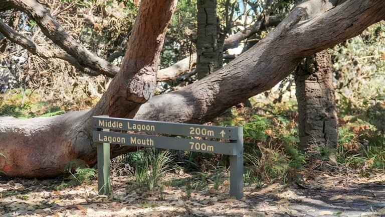 Middle Lagoon Walking Track (200m) Middle lagoon walking track (200m)