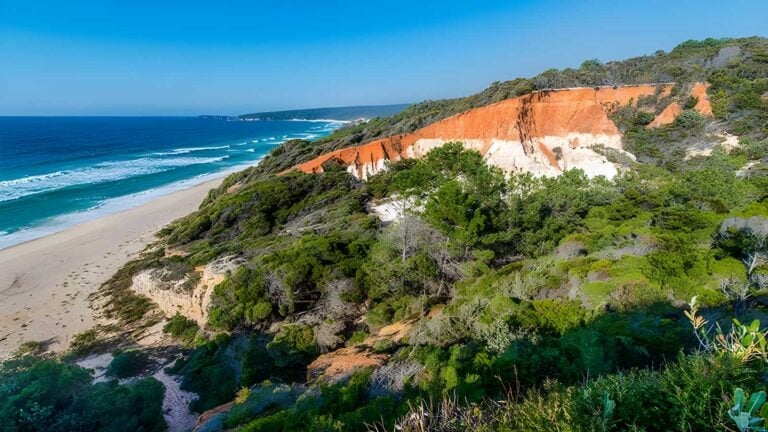 Pinnacles loop walking track (1. 1km)