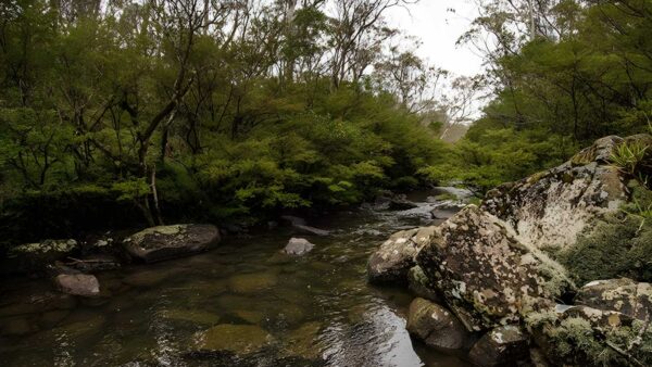 River walking track (2. 5km)