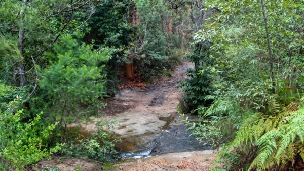 The Bare Creek Track (8.2km) The bare creek track (8. 2km)