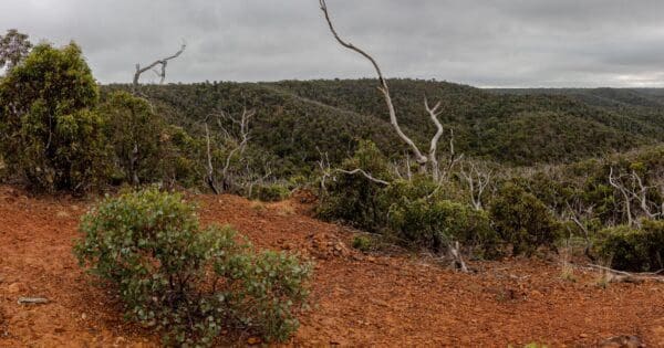 Ted errey nature circuit brisbane ranges
