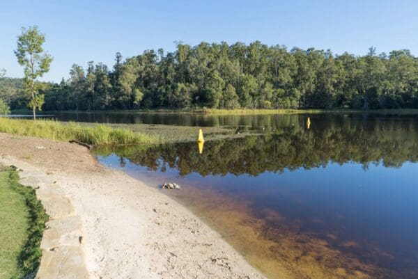 Churches & Shrines Walk (2.2km) Araucaria track 600x401