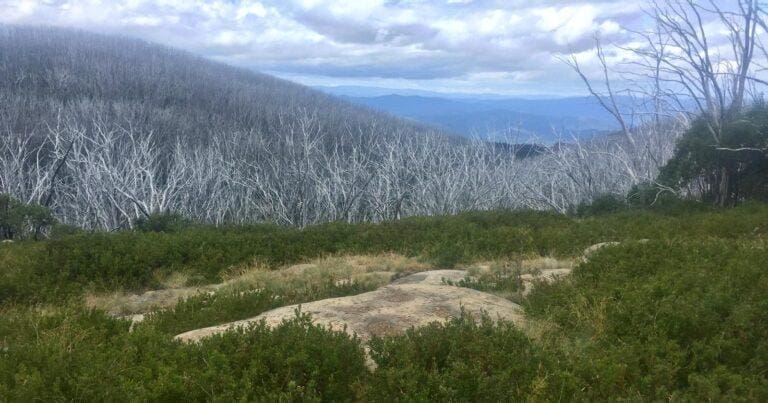 Lake mountain keppell hut loop