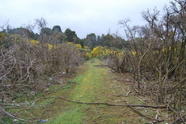 Hikes Magnet mine rail trail 600x402