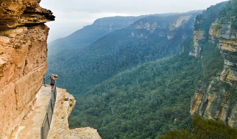 National Pass Walk (4.5km) National pass trail hiking australia