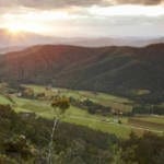 Old mt ned overlook track rediscovered