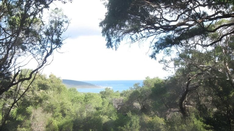Caves trail walk (600m)
