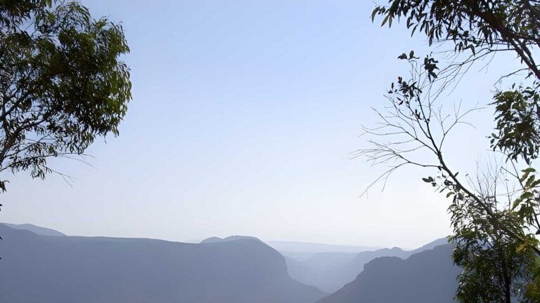 Cliff Top Track (3.2km) Cliff top track (3. 2km)