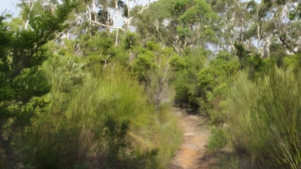 Mooray Walking Track (5km) Mooray walking track (5km)