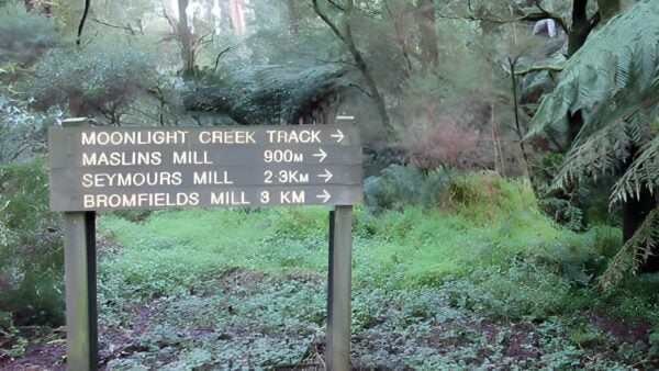 Mount Worth Moonlight Circuit Hike (8.3km) Mount worth moonlight circuit hike (8. 3km)