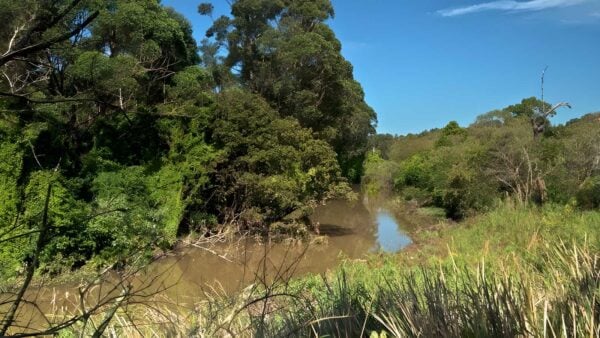 Wolli creek walking track (2km)