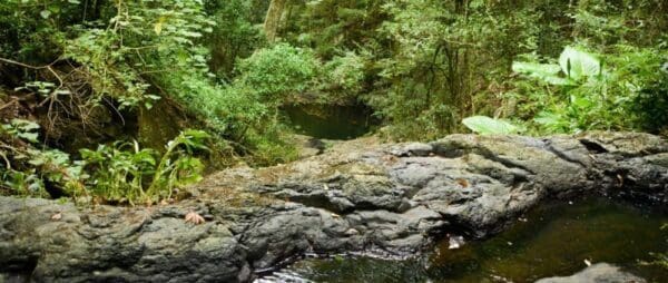 Barker creek circuit bunya mountains national park 600x254