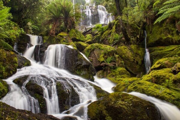 Ferntree Falls Walk (200 m) Evercreech rivulet falls 600x400