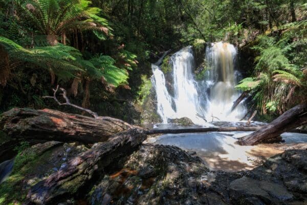 Hogarth falls 600x400