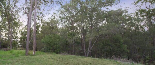 Kimberley forest trail 600x254