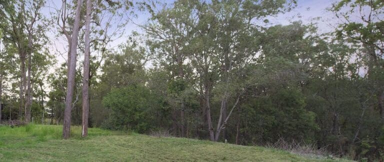 Kimberley Forest Trail (1.4km) Kimberley forest trail 768x325