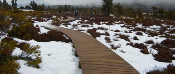 Hikes Pine lake walk trail hiking australia 600x254