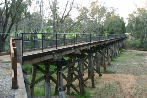 Old Timberline Trail (22km) Sidings rail trail 600x400