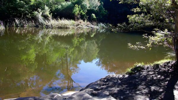 Blue Pool Walking Track (500m) Blue pool walking track (500m)