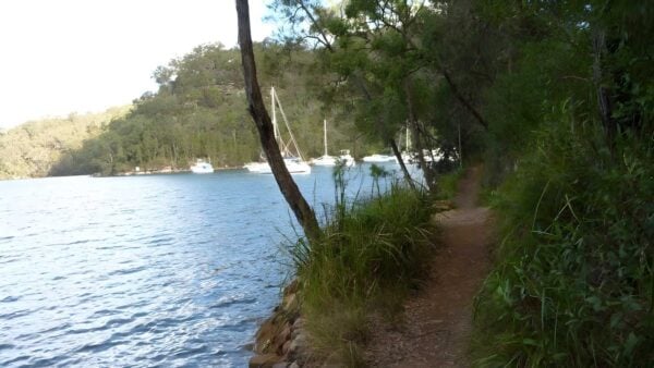Bobbin head to mt kuring-gai - apple tree bay walk (5. 3km)