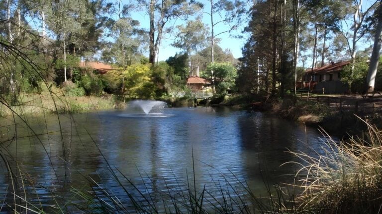 The lakes of cherrybrook loop walk (400m)