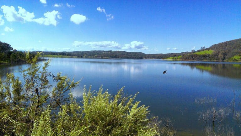 Walks and hikes near melbourne