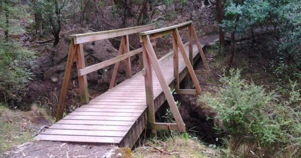 Taroona Foreshore Discovery Trail (4km) Brickfields track 1 600x315