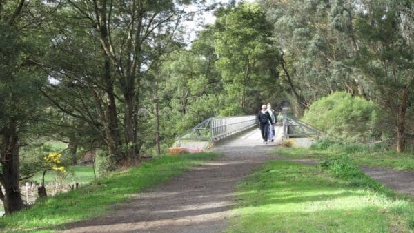 Hikes Moe yallourn rail trail 600x338
