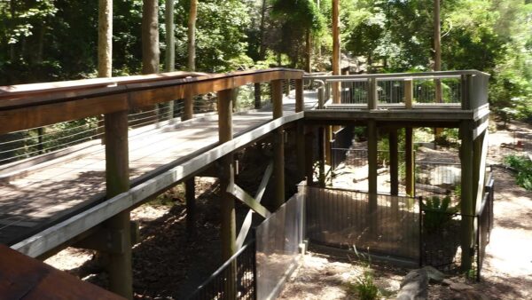 Blackbutt Wildlife Exhibit Walk (500m) Blackbutt wildlife exhibit walk (500m)