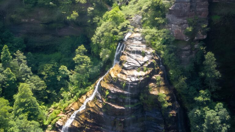 Carrington park to bridal view lookout walk (3. 3km)