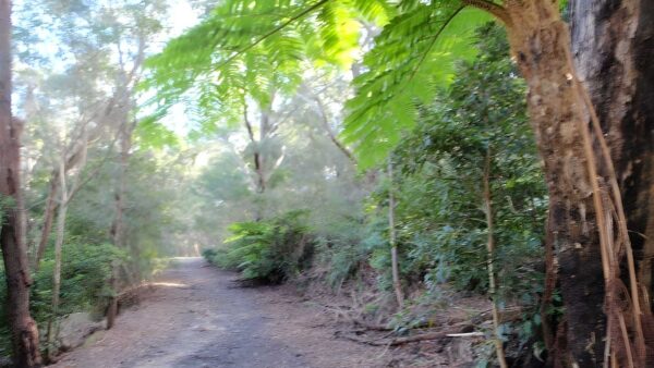 Clarinda st dog walking trail (500m)